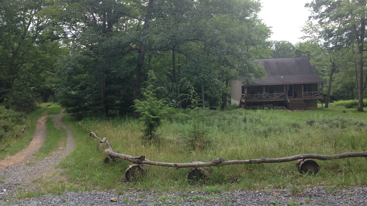 Photo of Others in Lock Haven