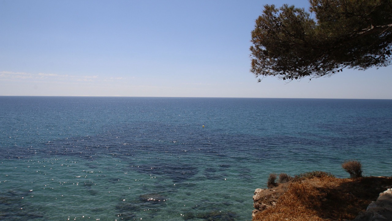 Photo of Others in Parc de Mont-roig