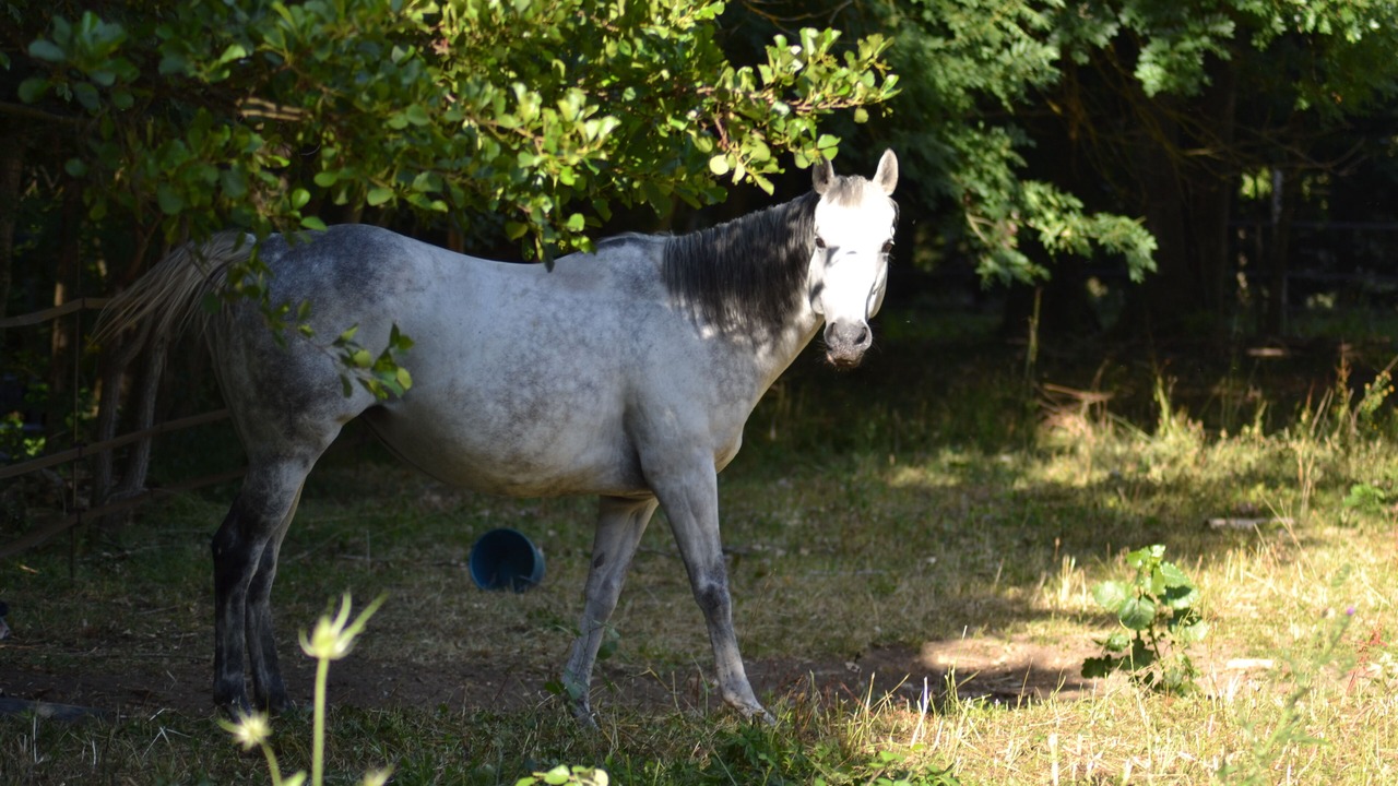 Photo of Outdoor in Bransles