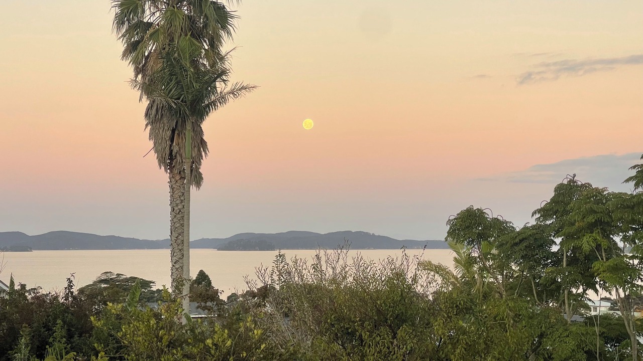 Photo of Others in Snells Beach
