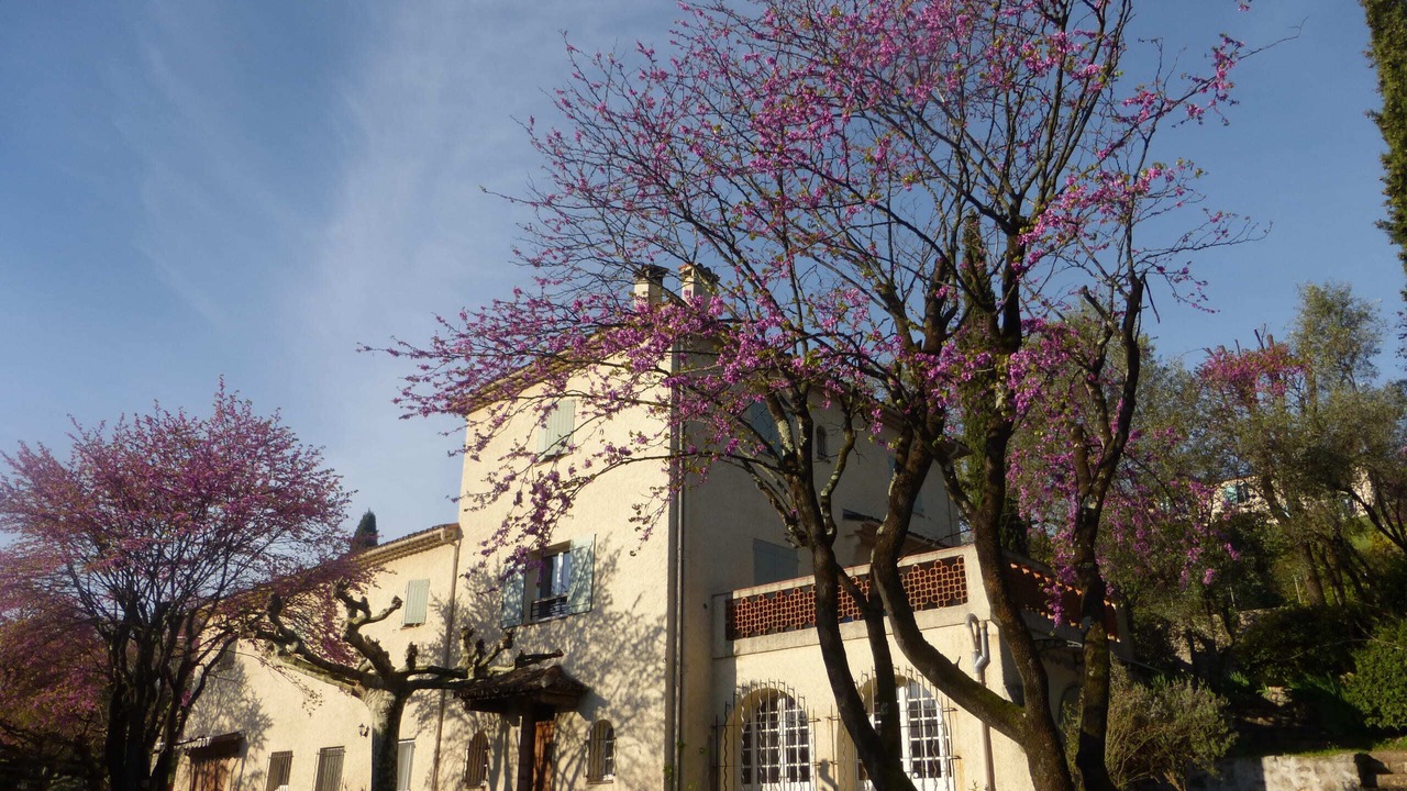 Photo of Outdoor in Grasse