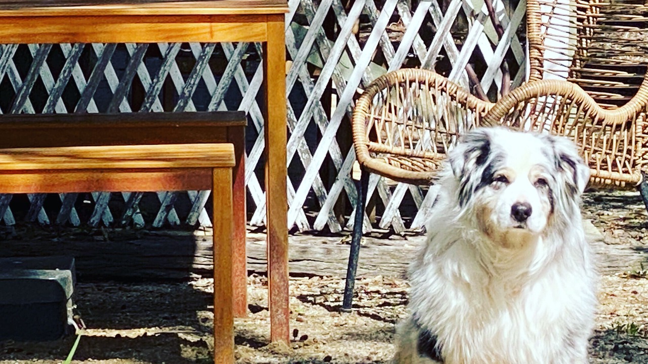 Photo of Outdoor in Bathurst