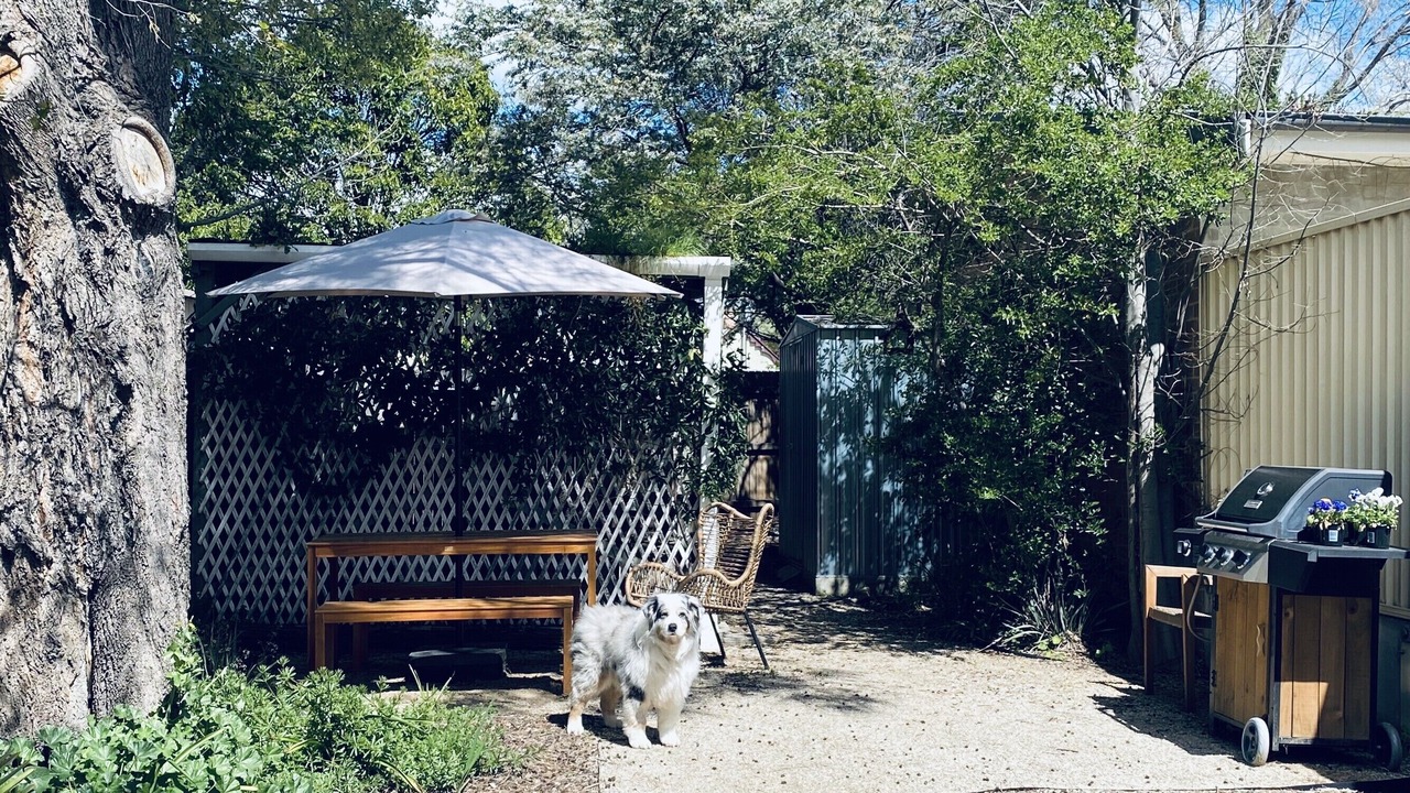 Photo of Outdoor in Bathurst