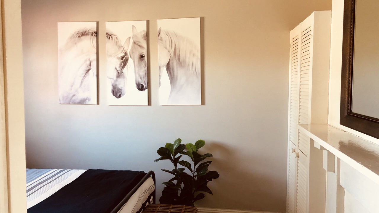 Photo of Others in Bathurst