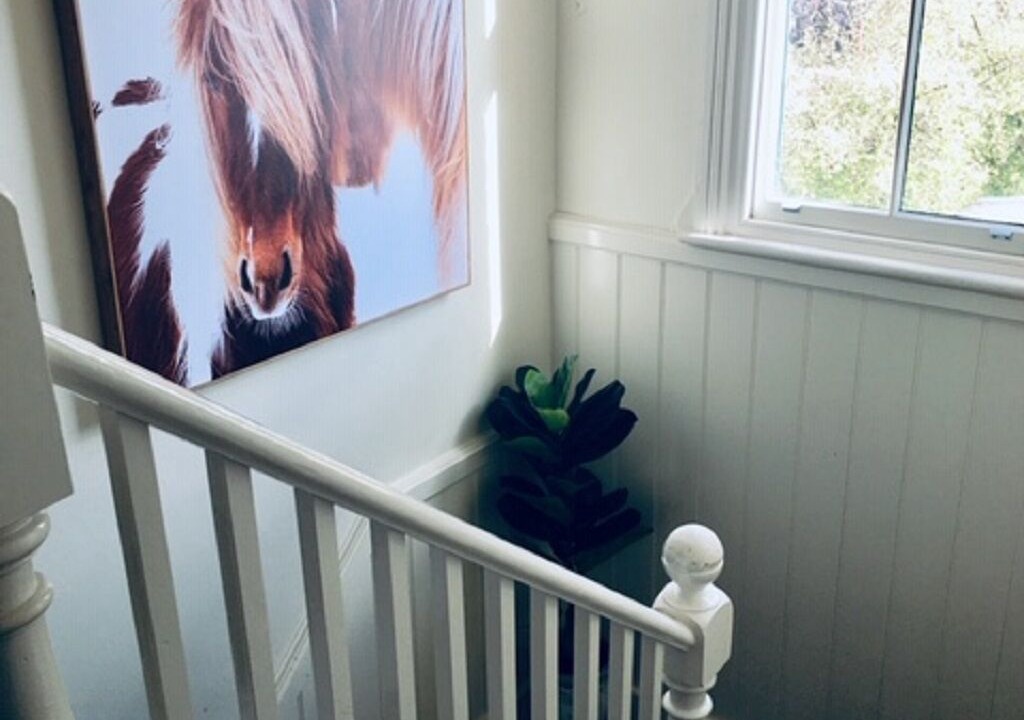 Photo of Others in Bathurst