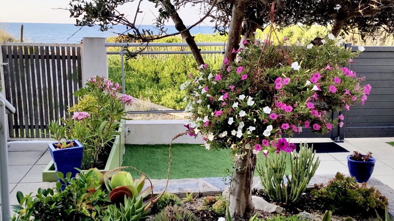 Photo of Outdoor in Carnon-Plage