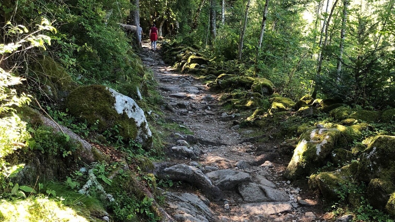 Photo of Outdoor in La Ferriere