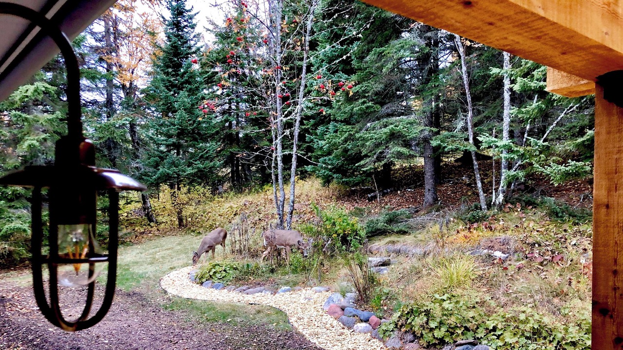 Photo of Outdoor in Lutsen