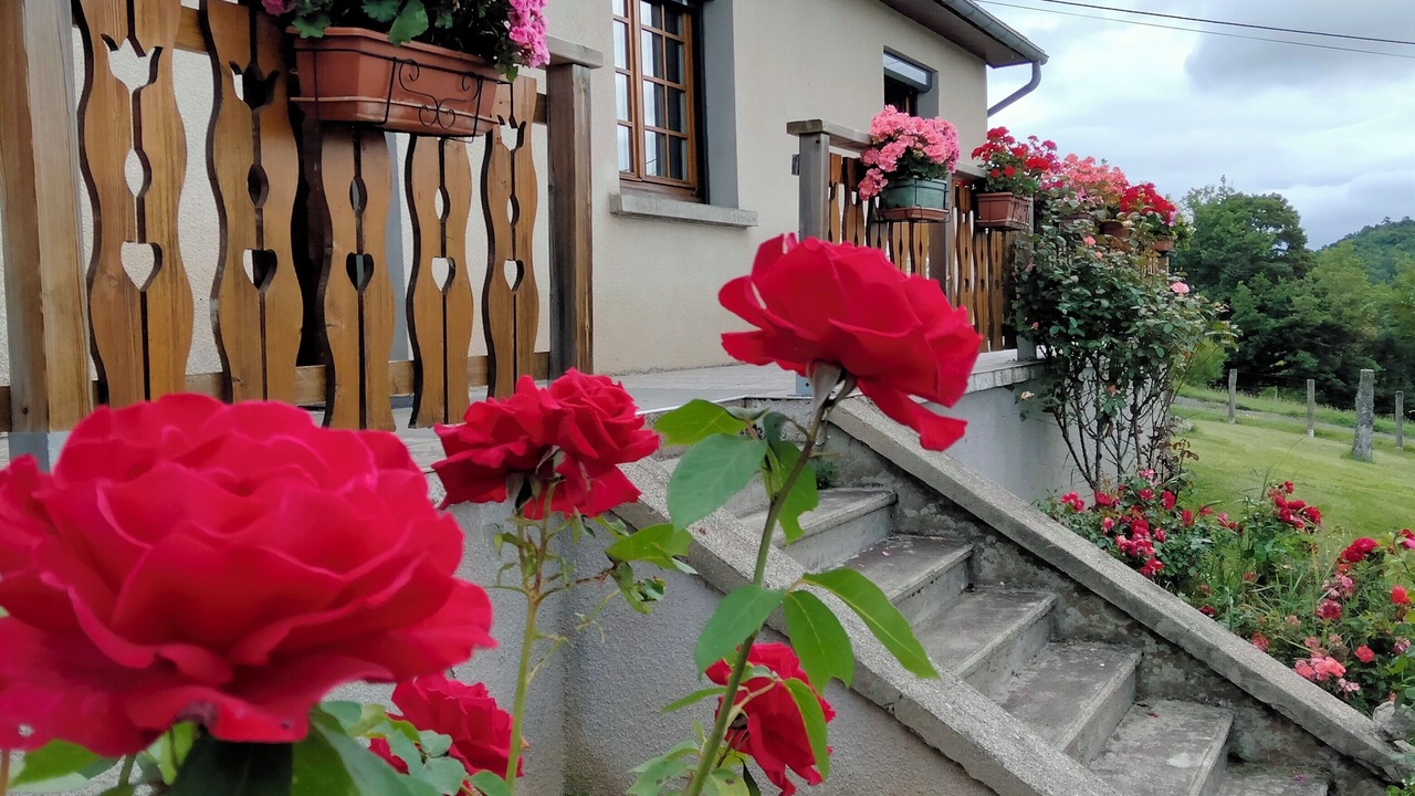 Photo of Outdoor in Saint-Diery