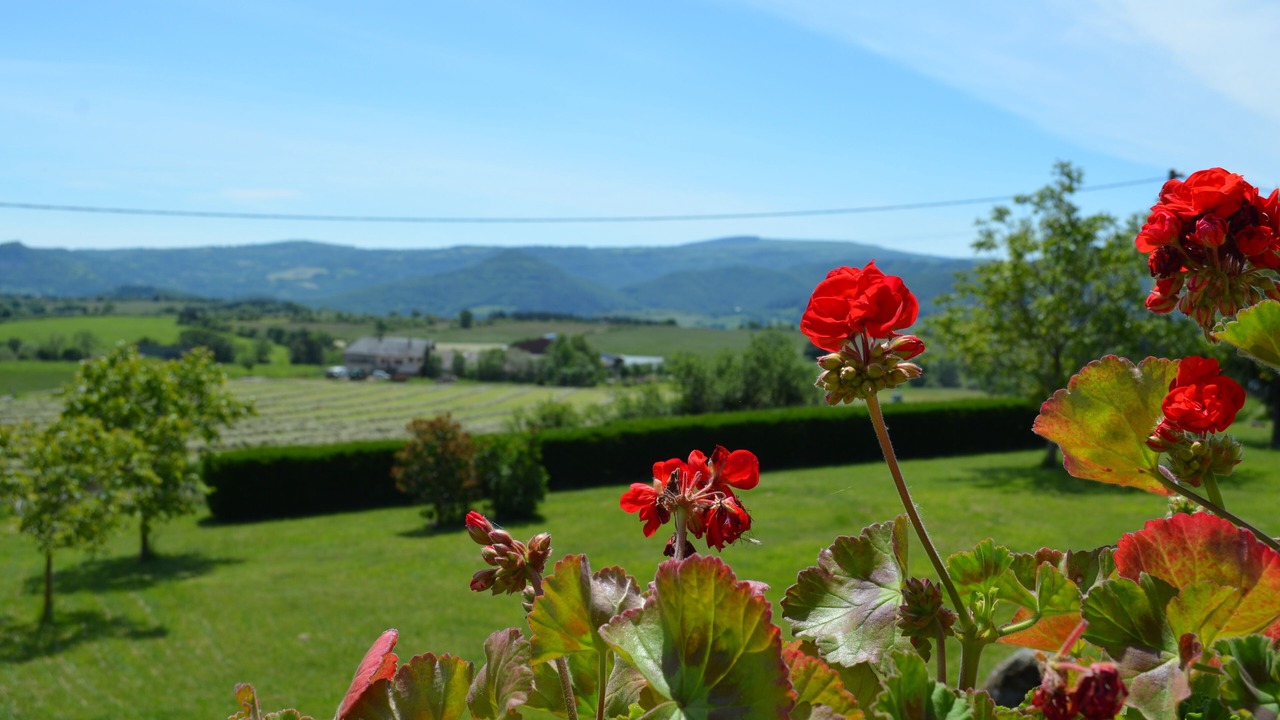 Photo of Outdoor in Saint-Diery