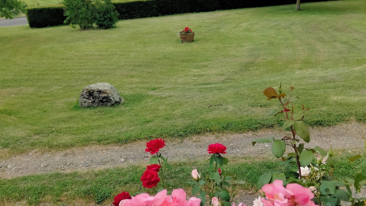 Photo of Outdoor in Saint-Diery