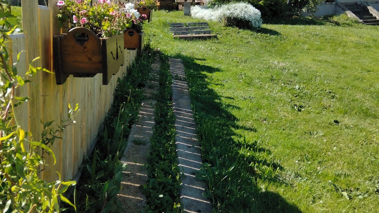 Photo of Outdoor in Saint-Diery
