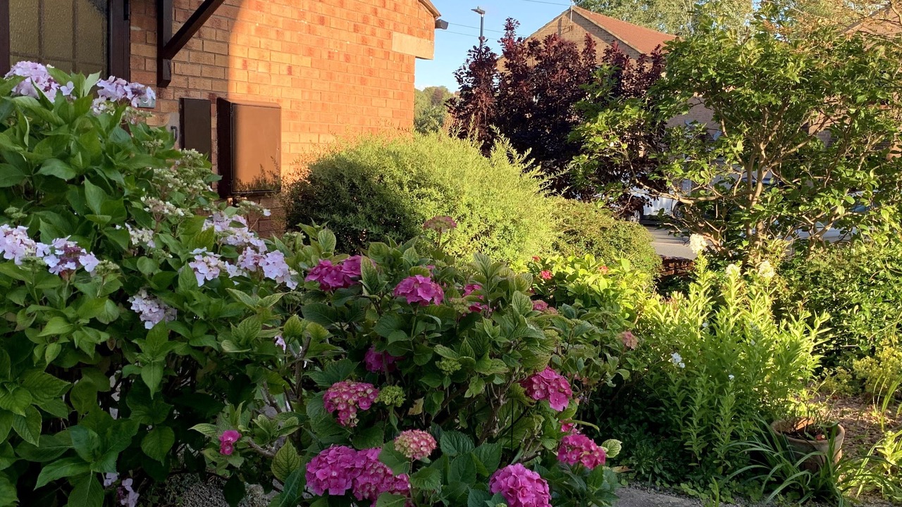 Photo of Outdoor in Harrogate