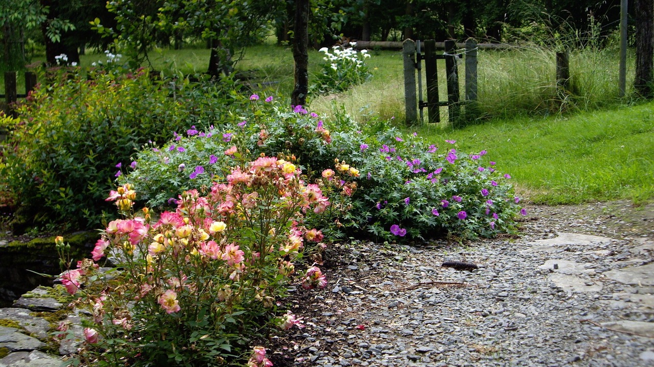 Photo of Outdoor in Rouez