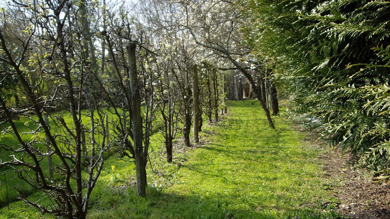 Photo of Outdoor in Rouez