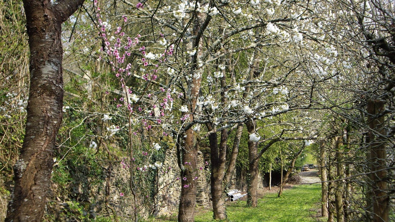 Photo of Outdoor in Rouez