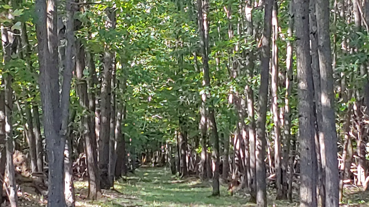 Photo of Outdoor in Richfield Springs