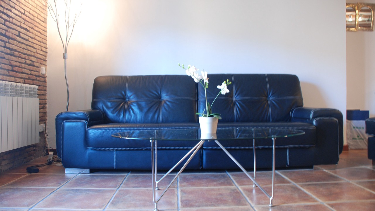 Photo of Livingroom in Logrono City Centre