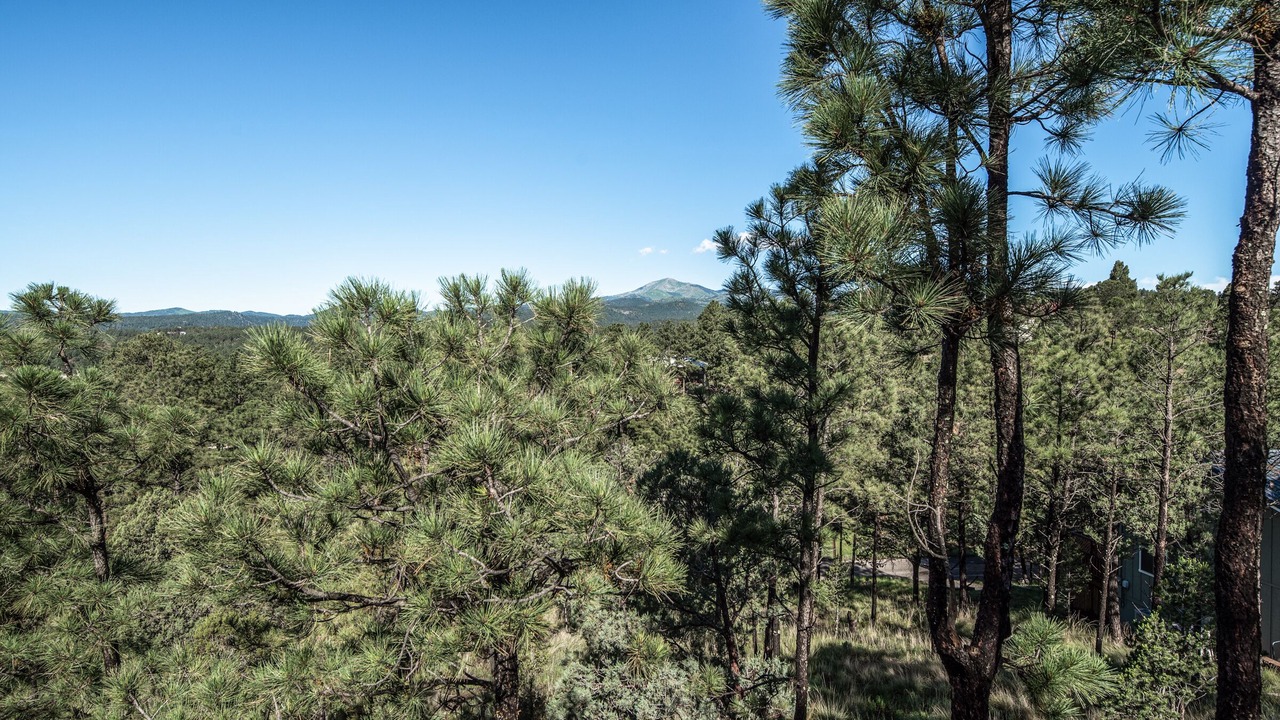 Photo of Others in Ruidoso