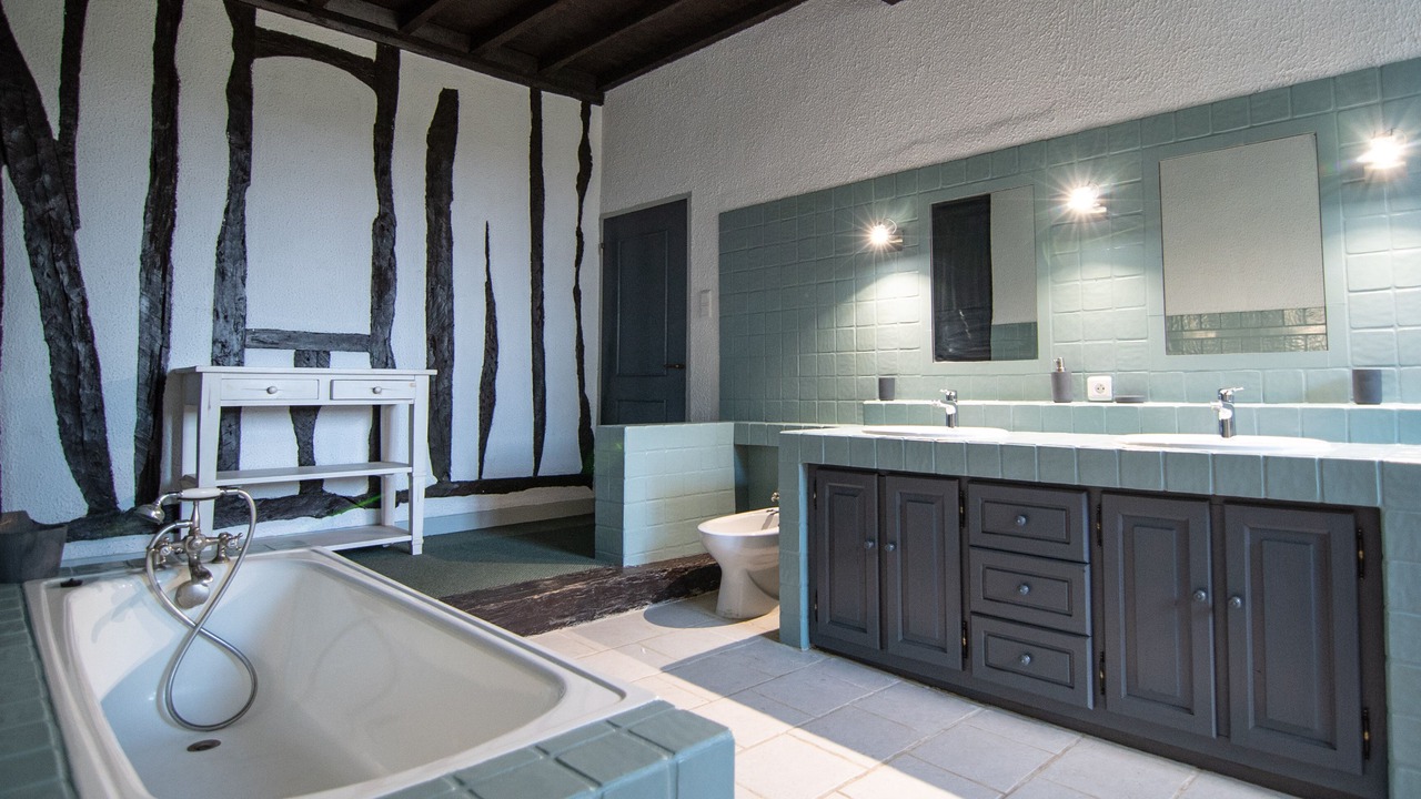 Photo of Bathroom in Fregouville