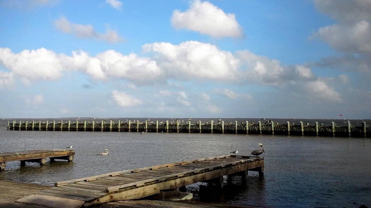 Photo of Others in Bay Front To La Porte