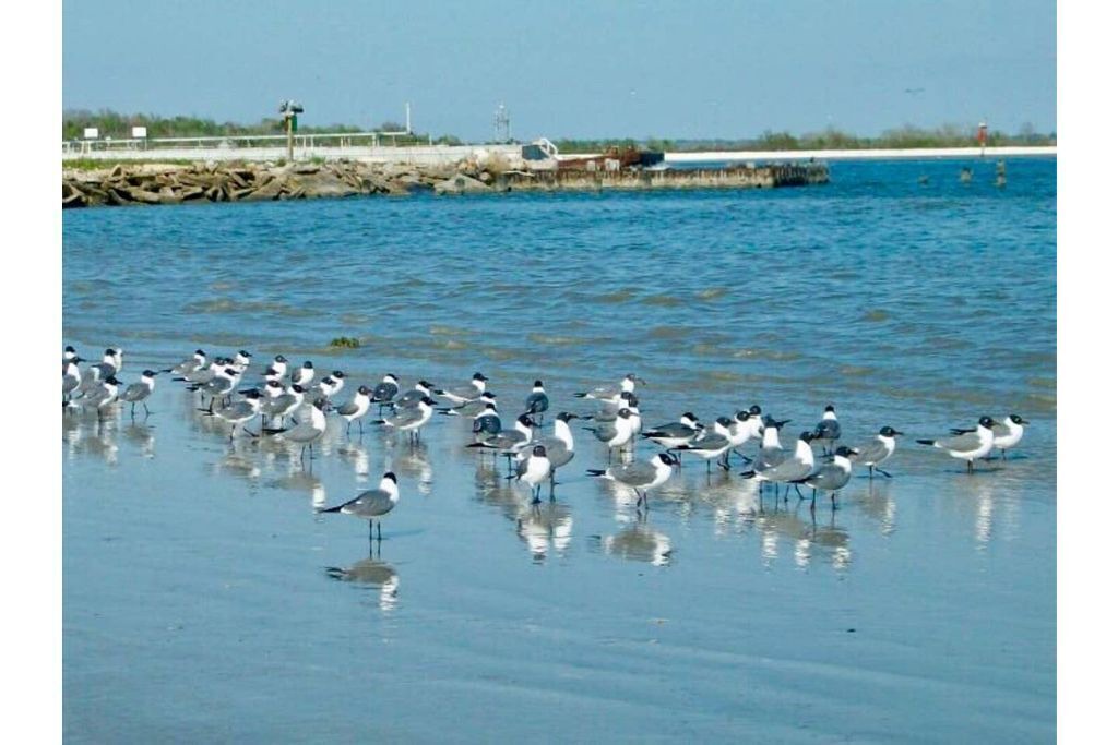 Photo of Others in Bay Front To La Porte