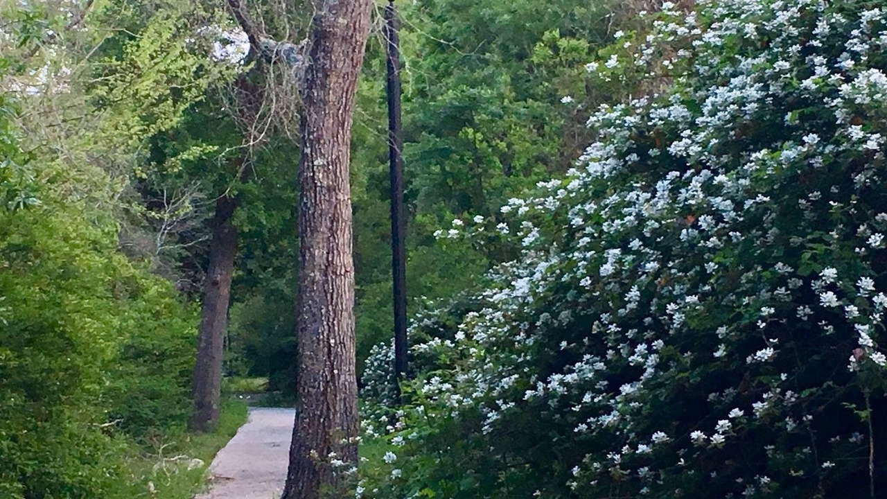 Photo of Outdoor in Bay Front To La Porte
