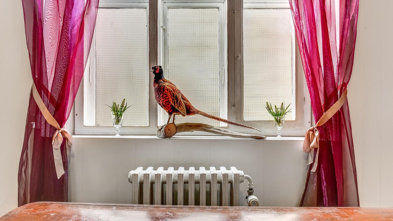 Photo of Others in Aabenraa