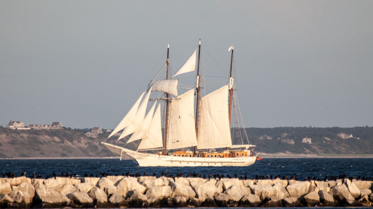 Photo of Others in Commercial Street