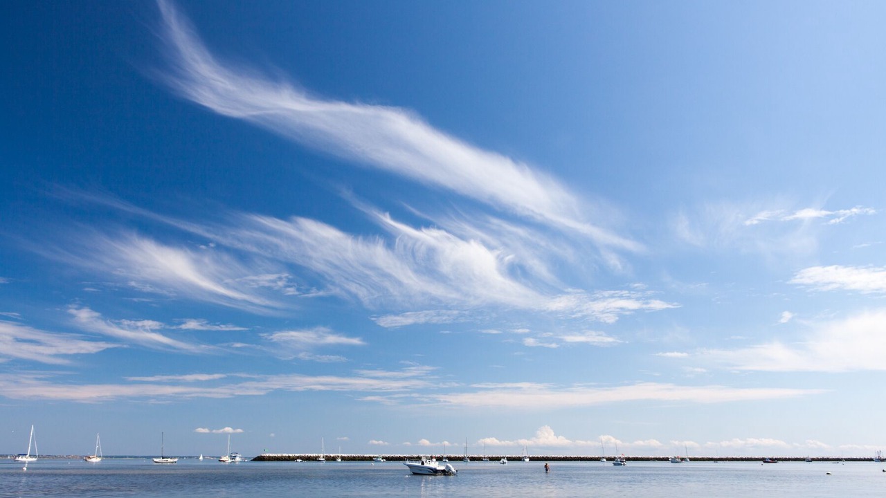 Photo of Others in Commercial Street