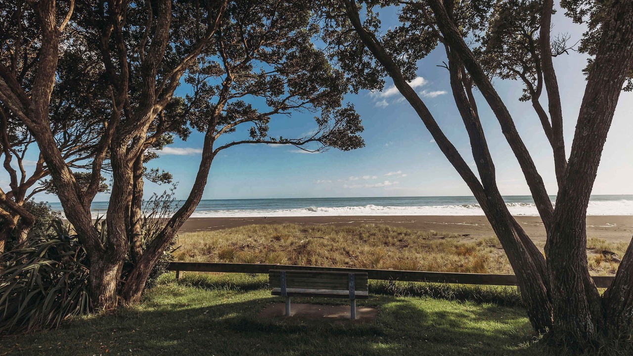 Photo of Others in Oakura