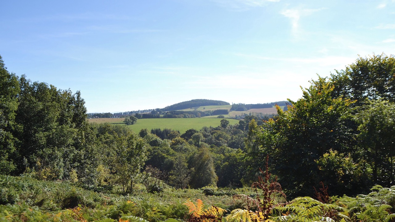 Photo of Others in Crieff