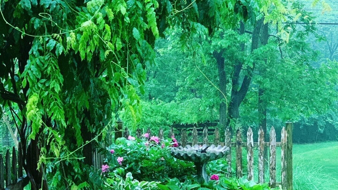 Photo of Outdoor in South Kansas City