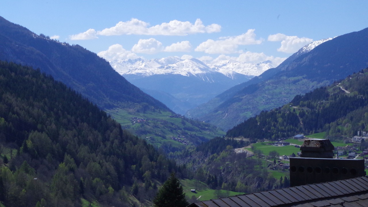 Photo of Others in Ernen