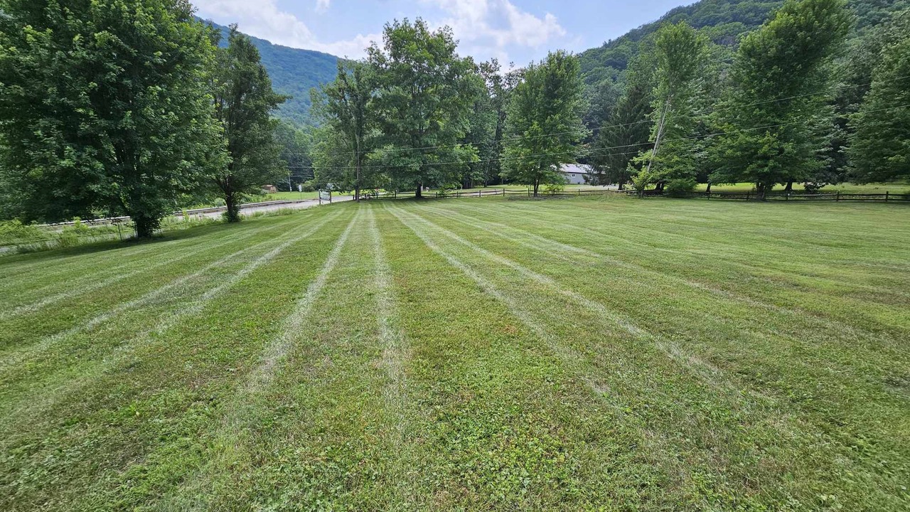 Photo of Others in Weedville
