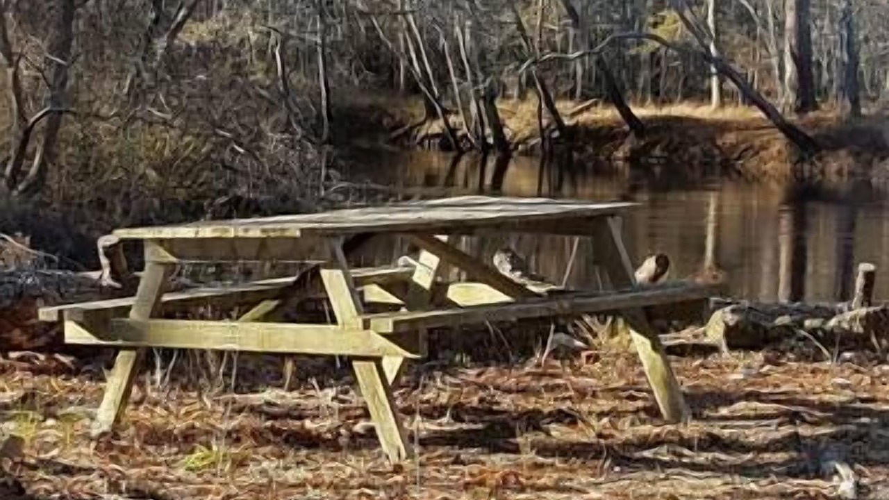 Photo of Others in Claxton