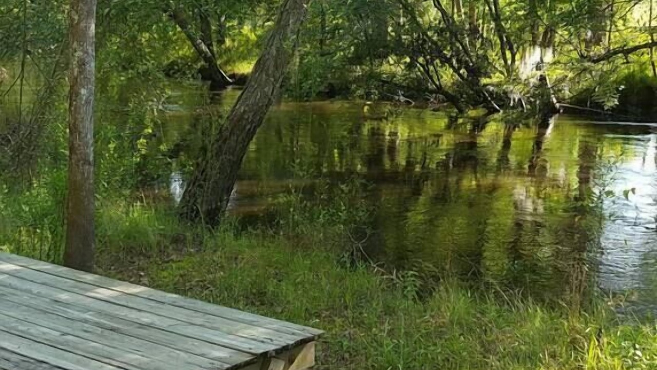 Photo of Others in Claxton