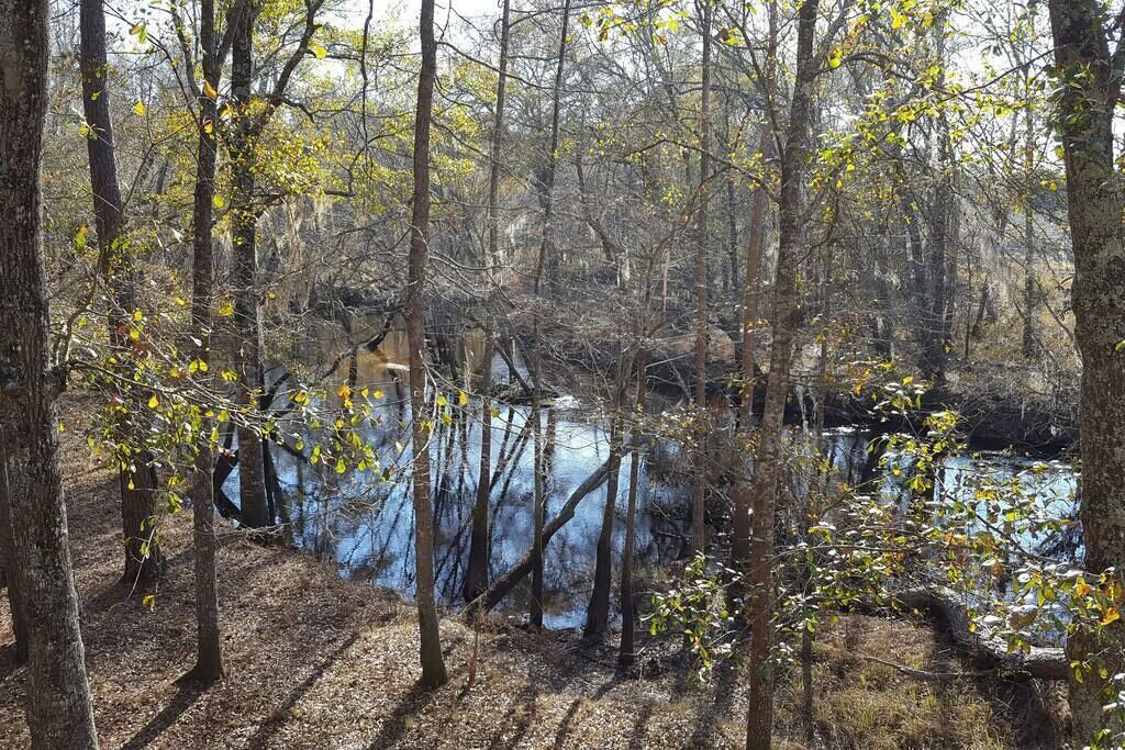 Photo of Others in Claxton