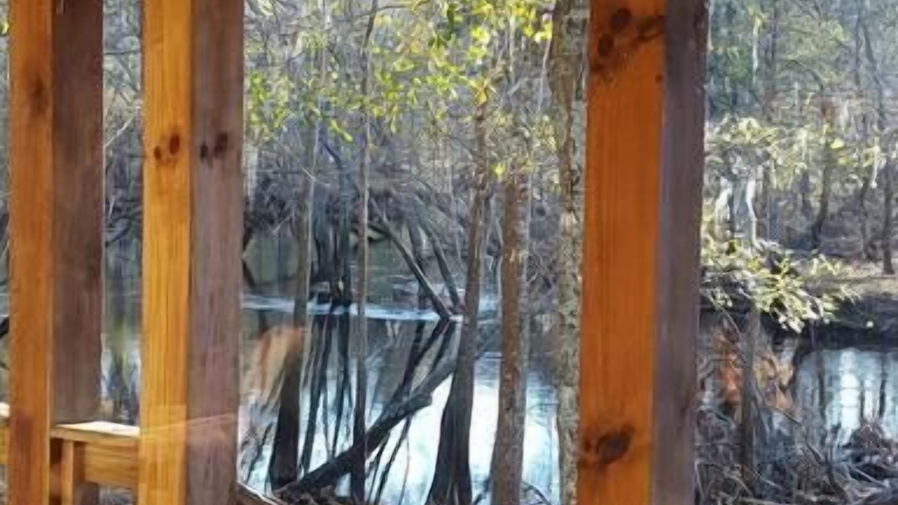 Photo of Outdoor in Claxton