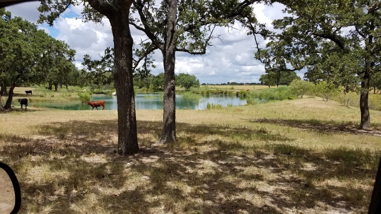 Photo of Others in Giddings