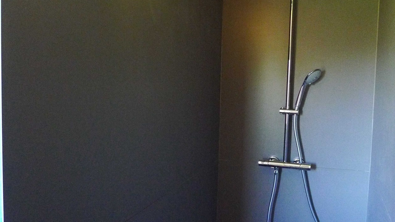 Photo of Bathroom in Vaulx En Velin Village