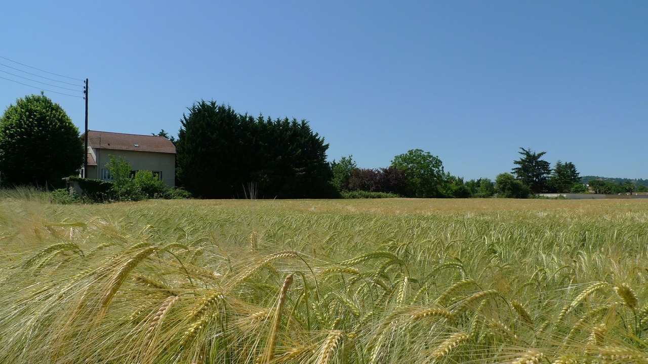 Photo of Outdoor in Vaulx En Velin Village