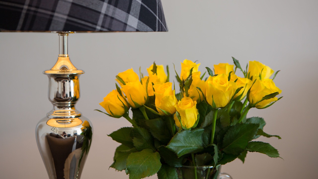 Photo of Others in Inverness