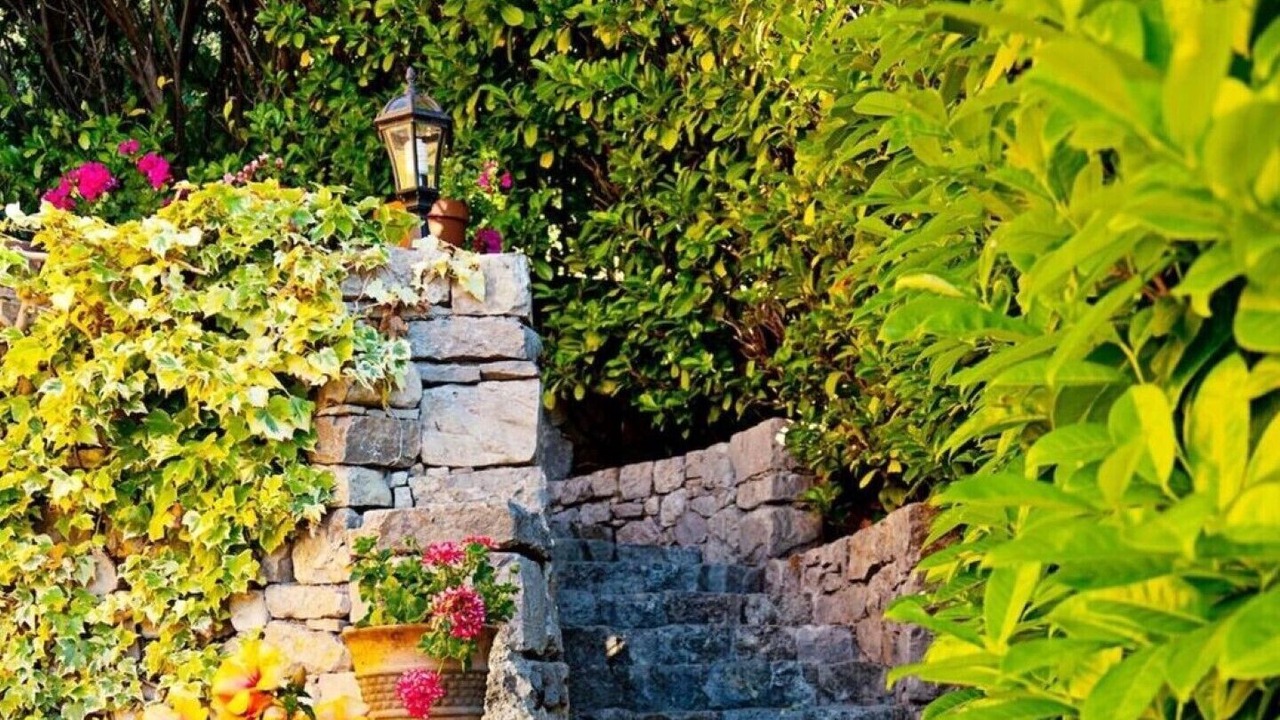 Photo of Outdoor in Speracedes