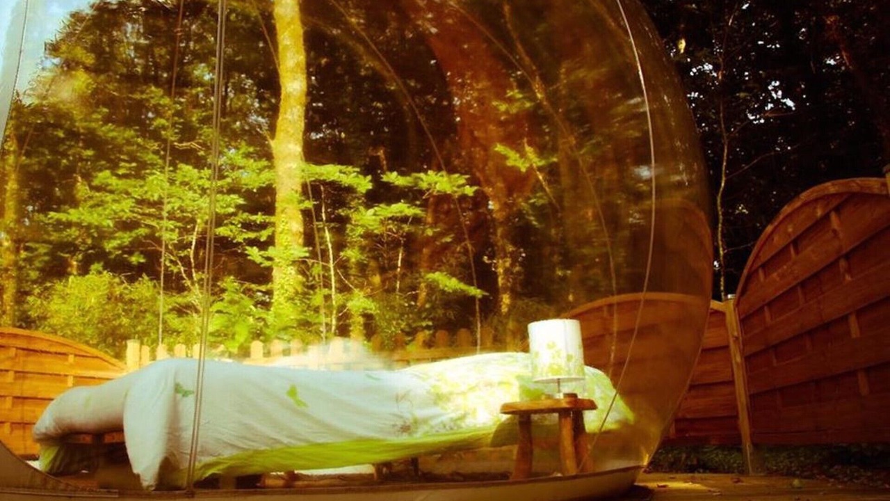 Photo of Others in Dournazac