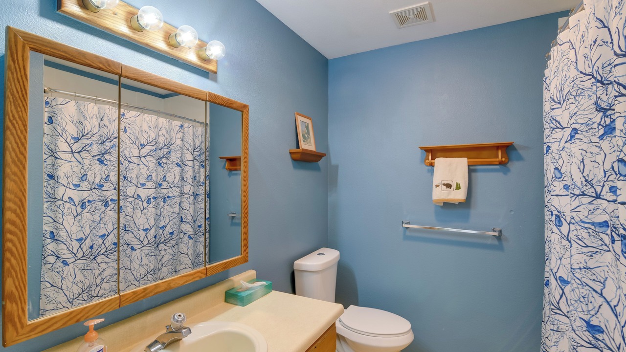 Photo of Bathroom in Turnagain