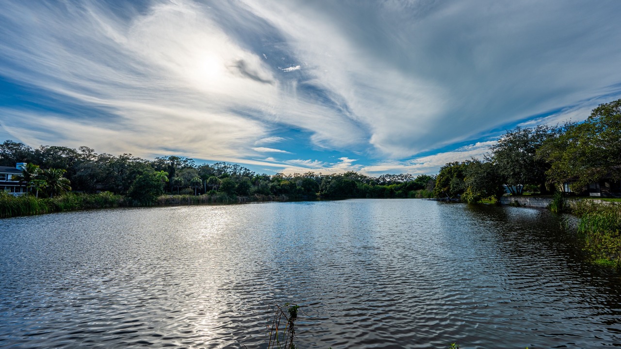 Photo of Outdoor in Bradenton