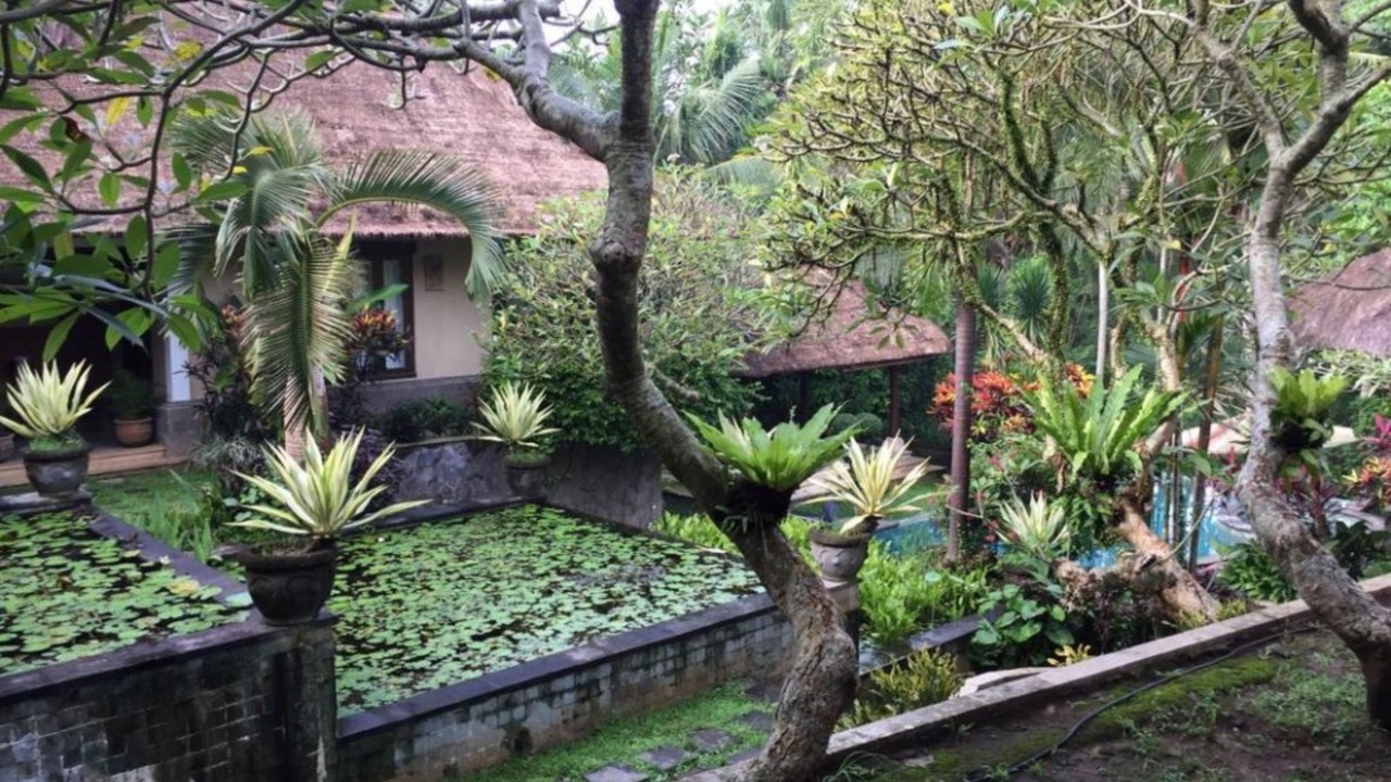 Photo of Outdoor in Batuan