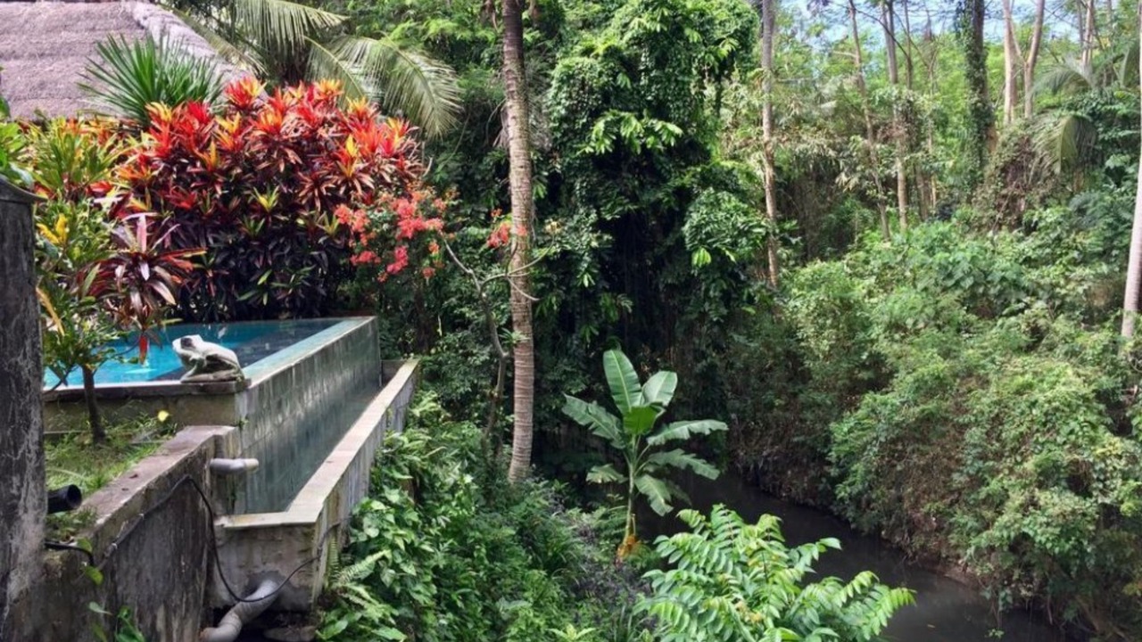 Photo of Outdoor in Batuan