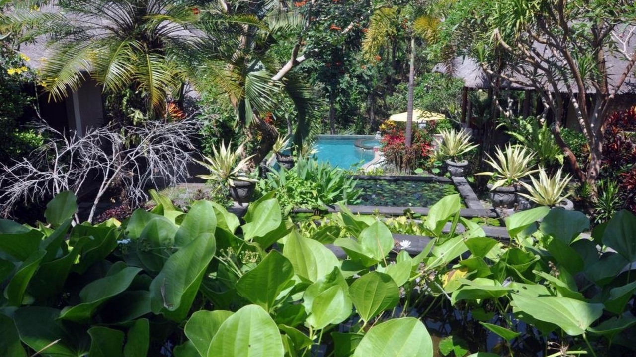 Photo of Outdoor in Batuan